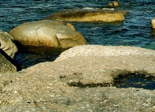 粉象生活邀请一个人可以得到多少钱