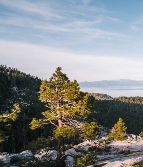 粉象生活怎么加入专业领域