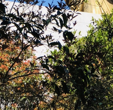 怎么推粉象生活