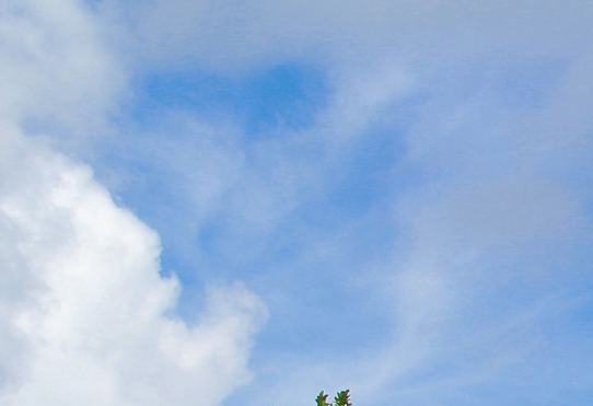 粉象生活真的买东西便宜么