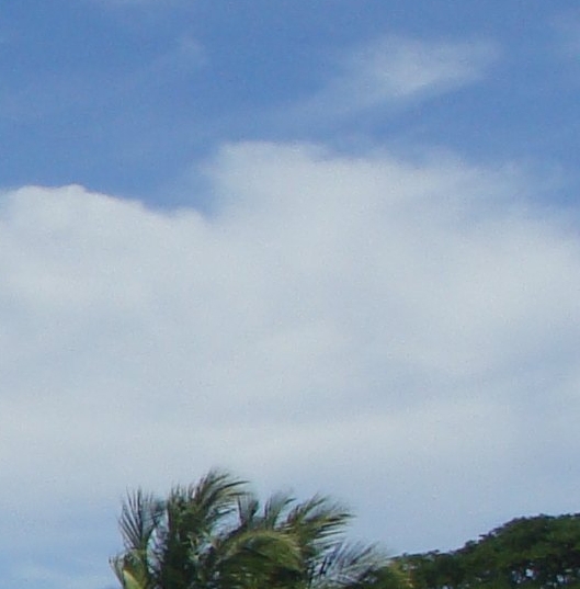 粉象生活可以发货吗