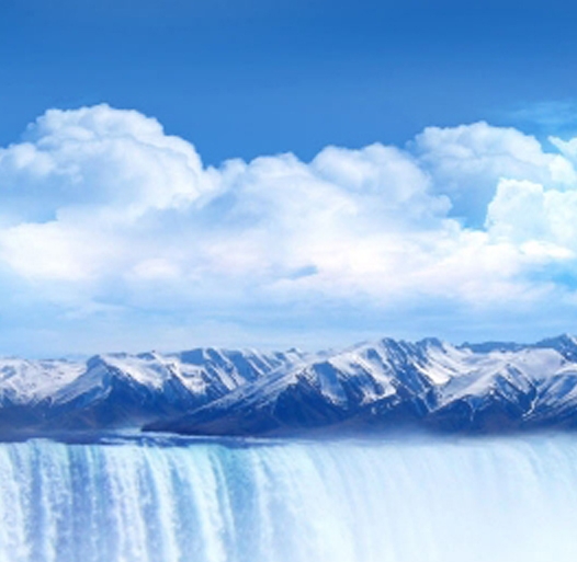 粉象生活下载app