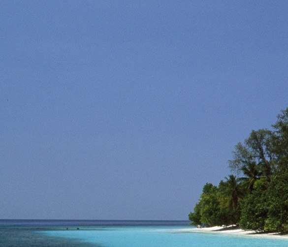 粉象生活副业邀请码