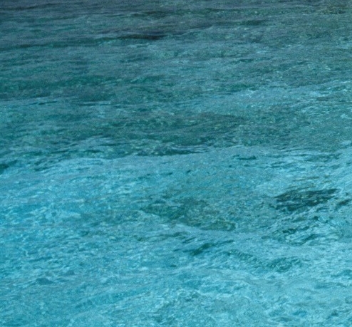 粉象生活上的订单怎么删除