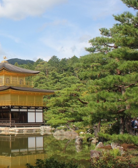 粉象生活的地址