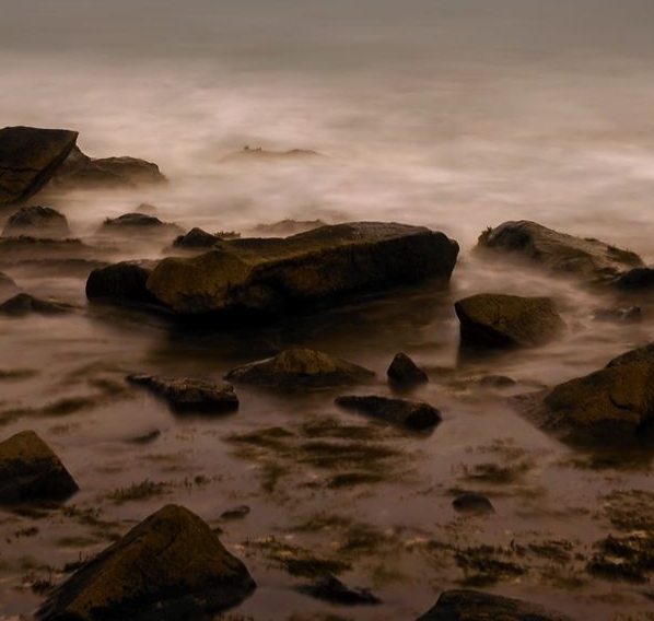粉象生活的手机在哪里下载