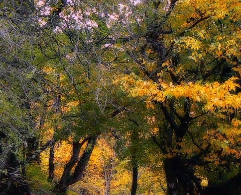 粉象生活是正规平台吗