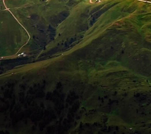 粉象生活是东西好不好