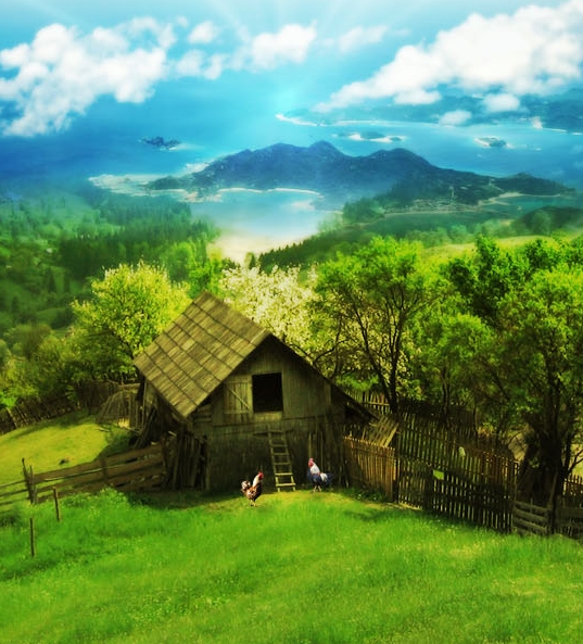 粉象邀请id怎么填写