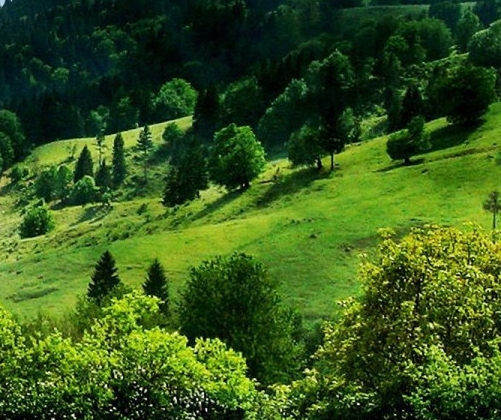 粉象生活外卖订单在哪里找