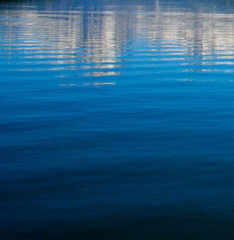 粉象生活购物平台真实吗