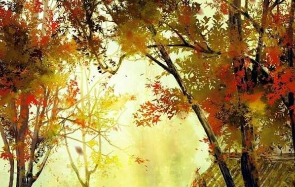 粉象生活晒收入