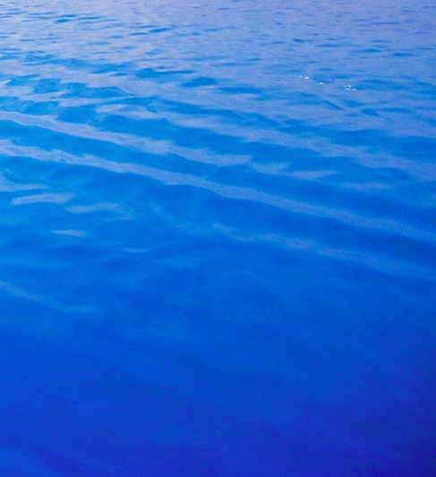 粉象生活怎么才能发视频