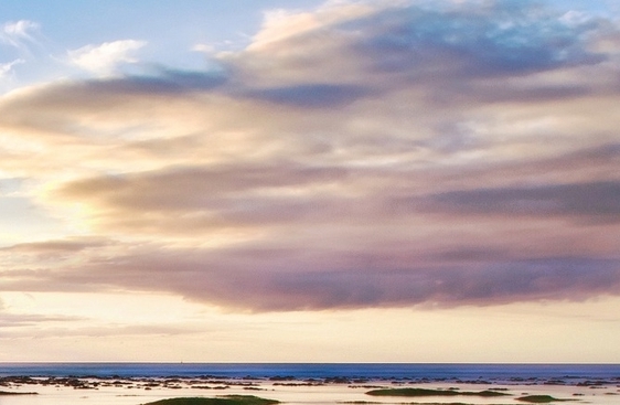 东莞粉象生活加盟