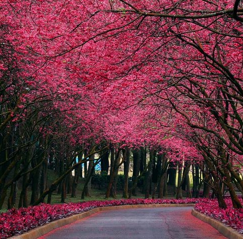 粉象生活赚钱教程