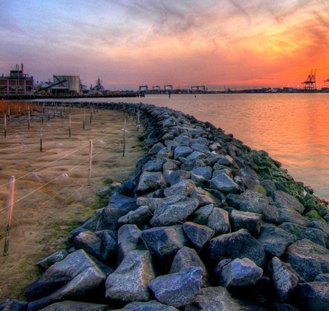 粉象生活下载app