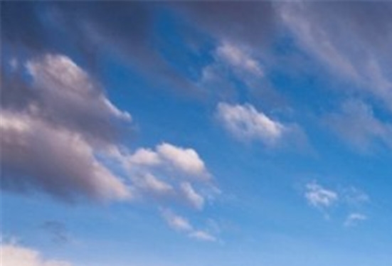 粉象生活收益分配