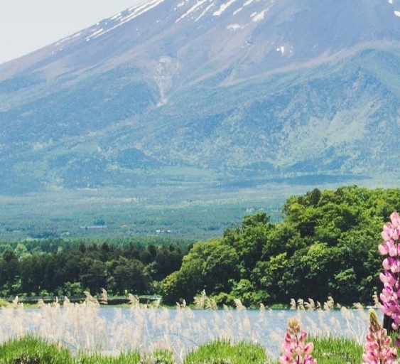粉象生活开店后怎么加粉丝
