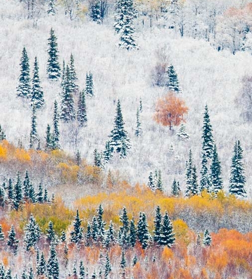 粉象生活下载app