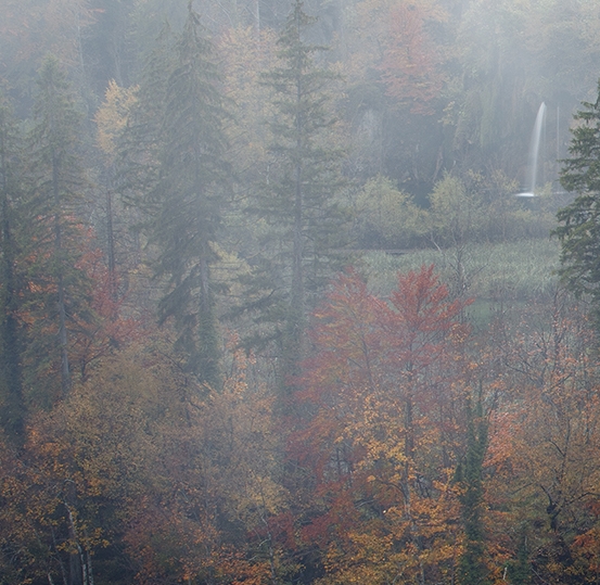 粉象生活不填邀请码能用吗