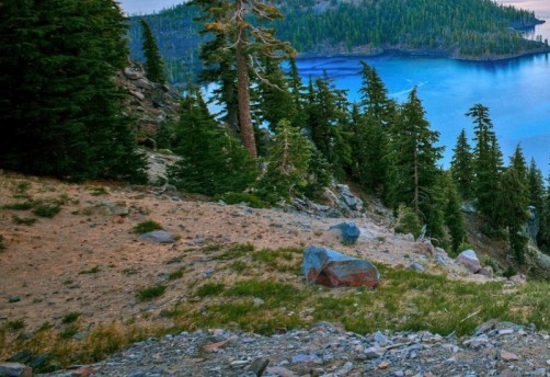 粉象生活是个什么东西