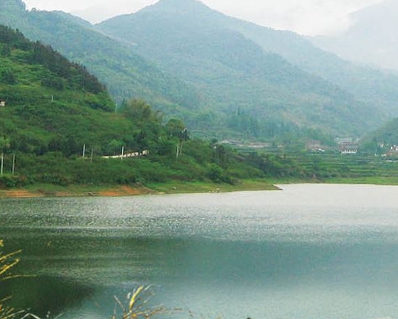 安庆粉象生活加盟