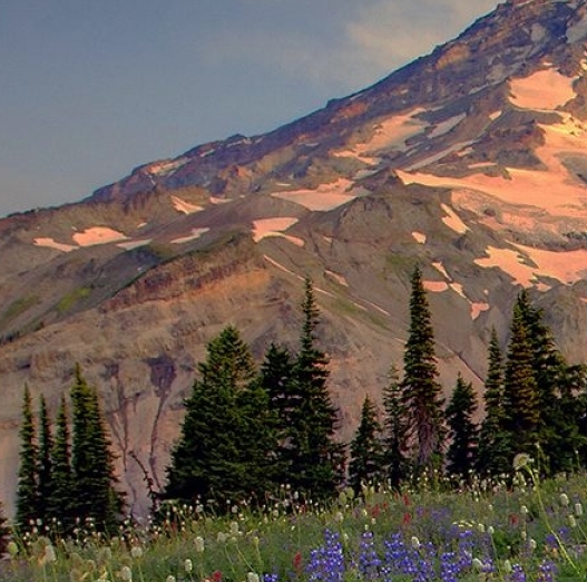 粉象生活怎么涨粉