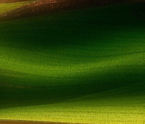 粉象生活怎么邀请