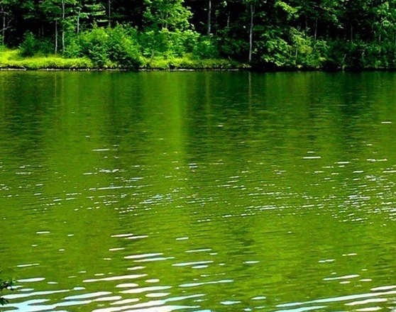 为什么要用粉象生活