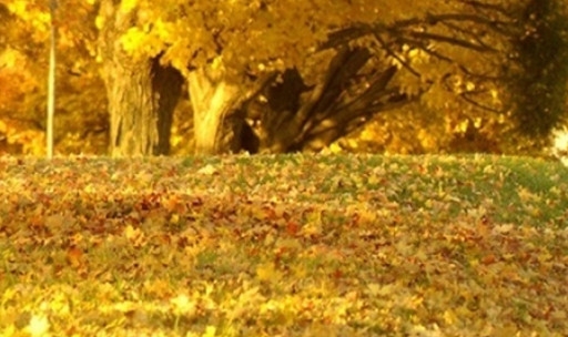 粉象生活要交钱吗