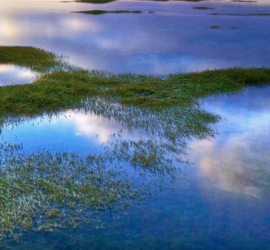注册粉象生活有风险吗