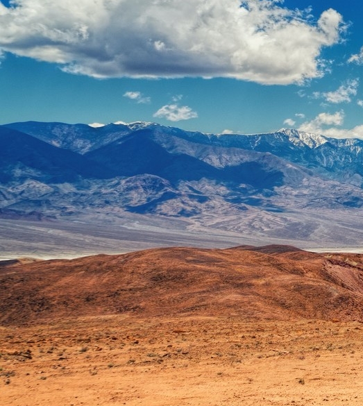 粉象生活到底能不能做