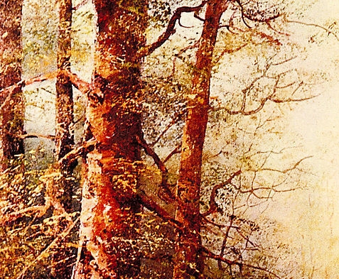 抖音本地生活运营思维导图