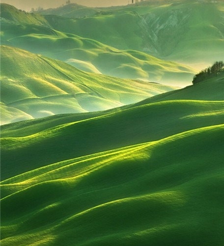 粉象生活能赚到钱吗