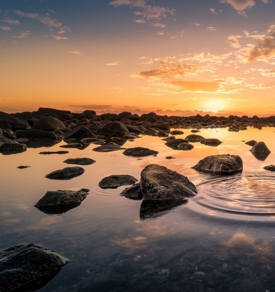 粉象生活送礼品吗