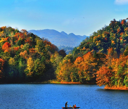 粉的象生活下载