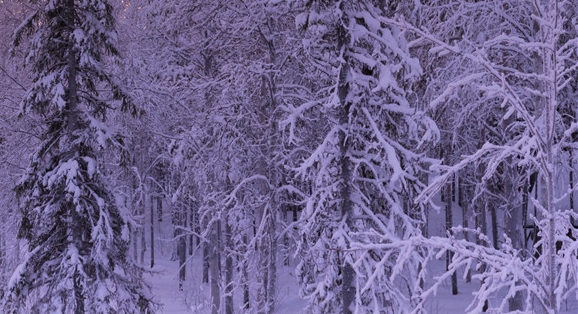 粉象生活赚钱教程