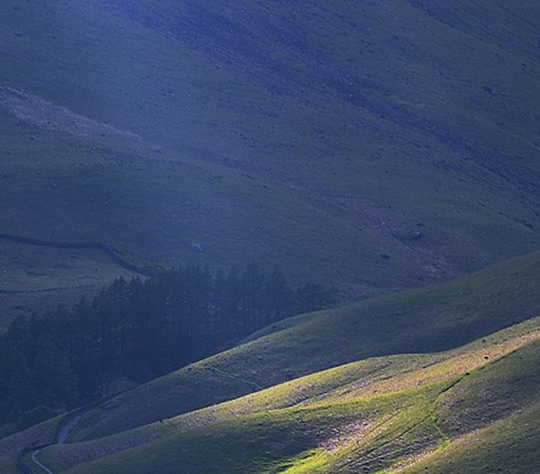 粉象生活邀请码