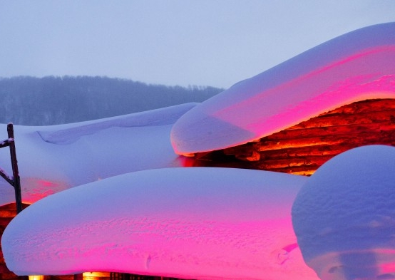 粉象生活官方邀请码哪一个是真的