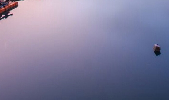 粉象生活佣金联盟