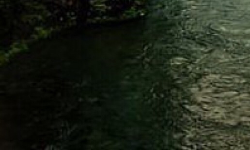 粉象生活领现金兑奖提现