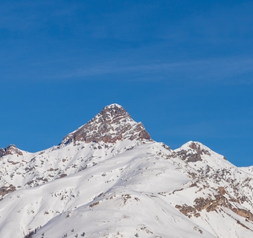什么是粉象生活社交电商