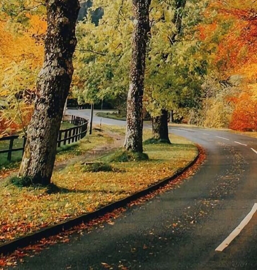 粉象生活邀请码填谁的最好