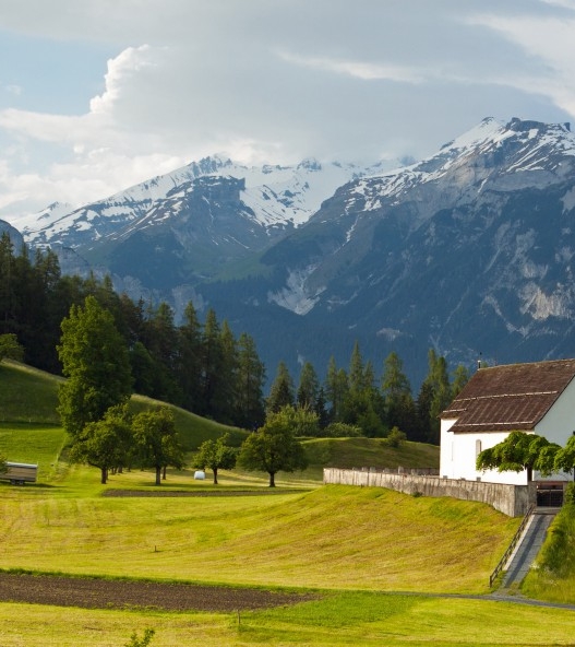 粉象生活提示注册