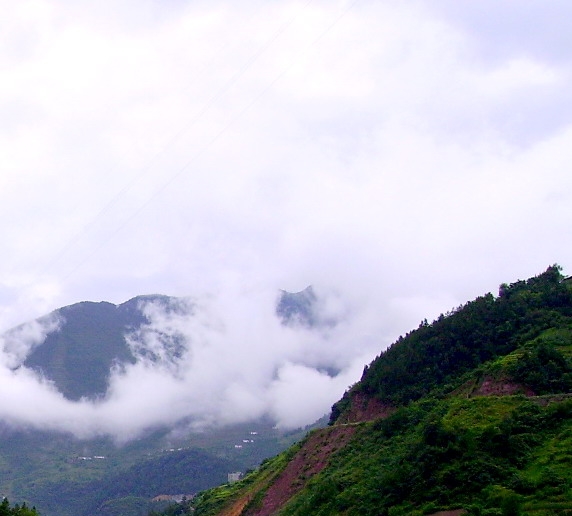 粉象生活招商活动