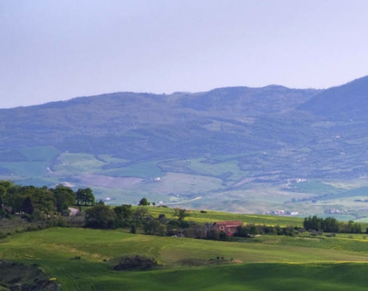 粉象生活月饼价格
