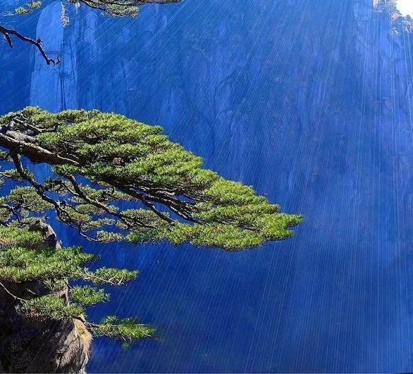 粉象生活手机怎么发布广告