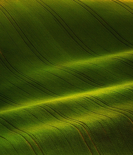粉象生活升级太难