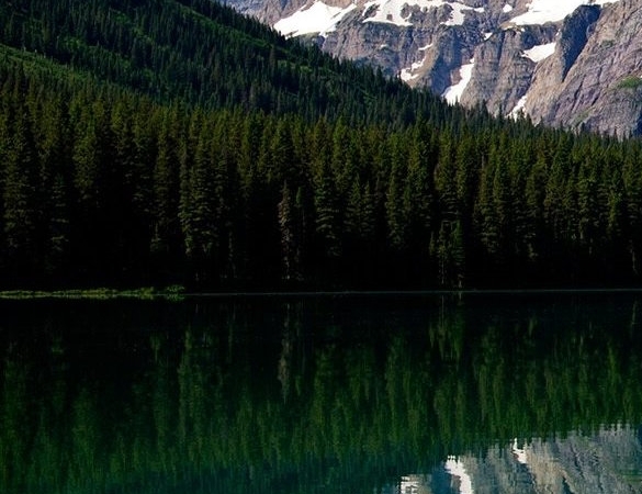 最新版粉象生活app下载安装