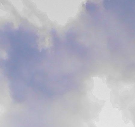 粉象生活如何做自媒体